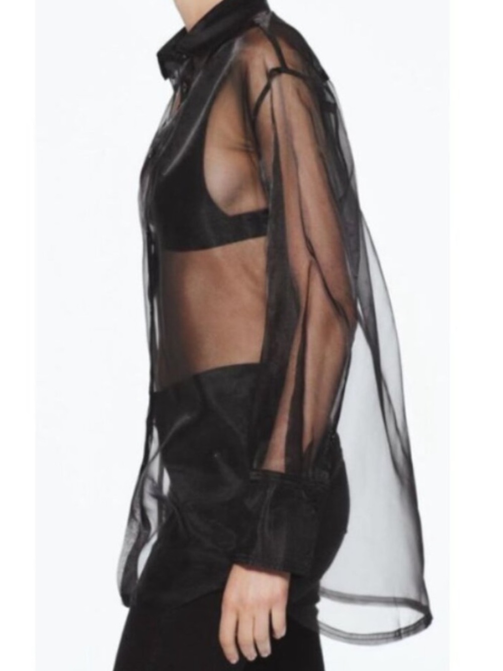 Zara Black Sheer Mesh Top